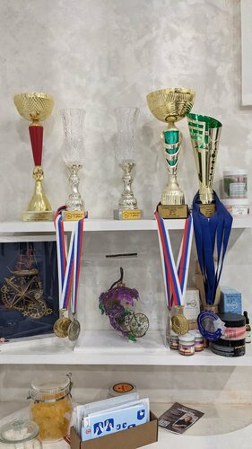 Награды и достижения Елены Фишман